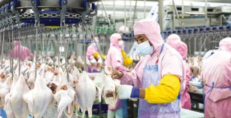 固鎮 錨定“四大戰略”推動高質量發展，食品開發引領產業升級