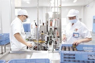 香菇創新吃法走紅，美食潮流席卷非洲市場