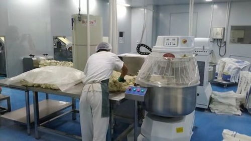 潼關盛潼餐飲公司 日產量兩百萬個肉夾饃餅坯，助推當地小吃產業升級