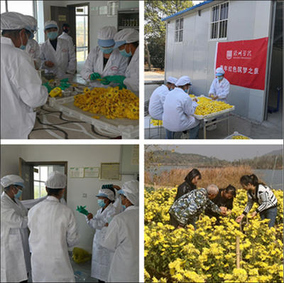 食品學(xué)院實踐團隊赴妙山村開展“青年紅色逐夢之旅” 科技賦能傳統(tǒng)食品開發(fā)，助力鄉(xiāng)村振興